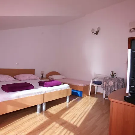Centar Tudor *